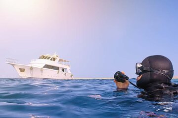 Tiran Island Cruise Experience with Intro Dive in Sharm El Sheikh - Image 1