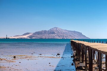 Tiran Island Cruise Experience with Intro Dive in Sharm El Sheikh - Image 4