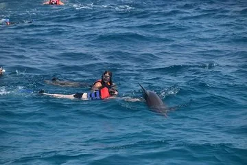 Dolphin House and Banana Boat Fun from Hurghada - Image 3
