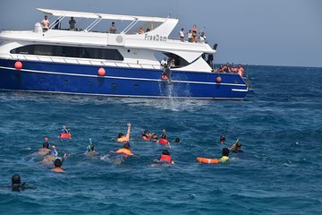 Dolphin House and Banana Boat Fun from Hurghada - Image 4
