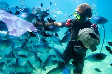 Red Sea Snorkeling Day Trip by Boat From Hurghada - Image 3