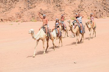 Sharm El Sheikh Desert Adventure (5X1) - Image 4