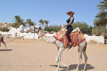 Hurghada: Stargazing, Camel Ride, Quad Bike, Bedouin Dinner, Show - Image 3