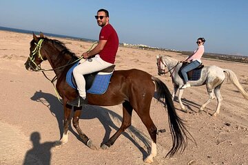 El Gouna Horse Ride Tour - Image 2