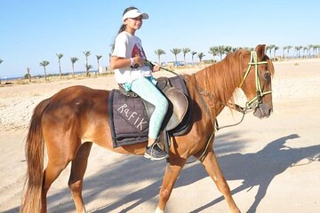 El Gouna Horse Ride Tour - Image 3