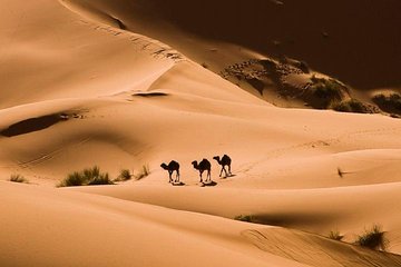 Bedouin BBQ in the Egyptian Desert from Hurghada by 4x4 - Image 2