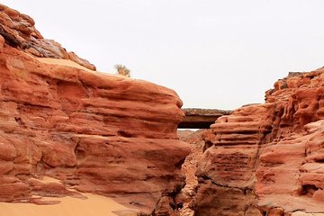 Bedouin BBQ in the Egyptian Desert from Hurghada by 4x4 - Image 3