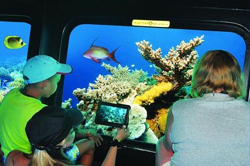 Hurghada Semi-Submarine Trip - Image 1