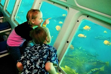 Hurghada Semi-Submarine Trip - Image 3