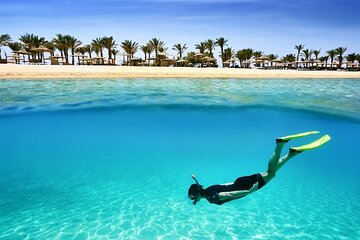 Marsa Alam Snorkeling Trip to Satayh Dolphin Reef - Image 1