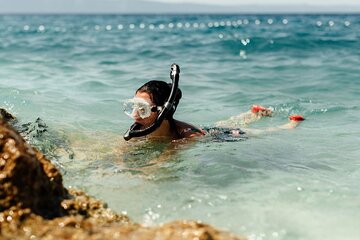 Marsa Alam Snorkeling Trip to Satayh Dolphin Reef - Image 4