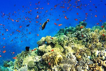 Gifton Island - Image 2