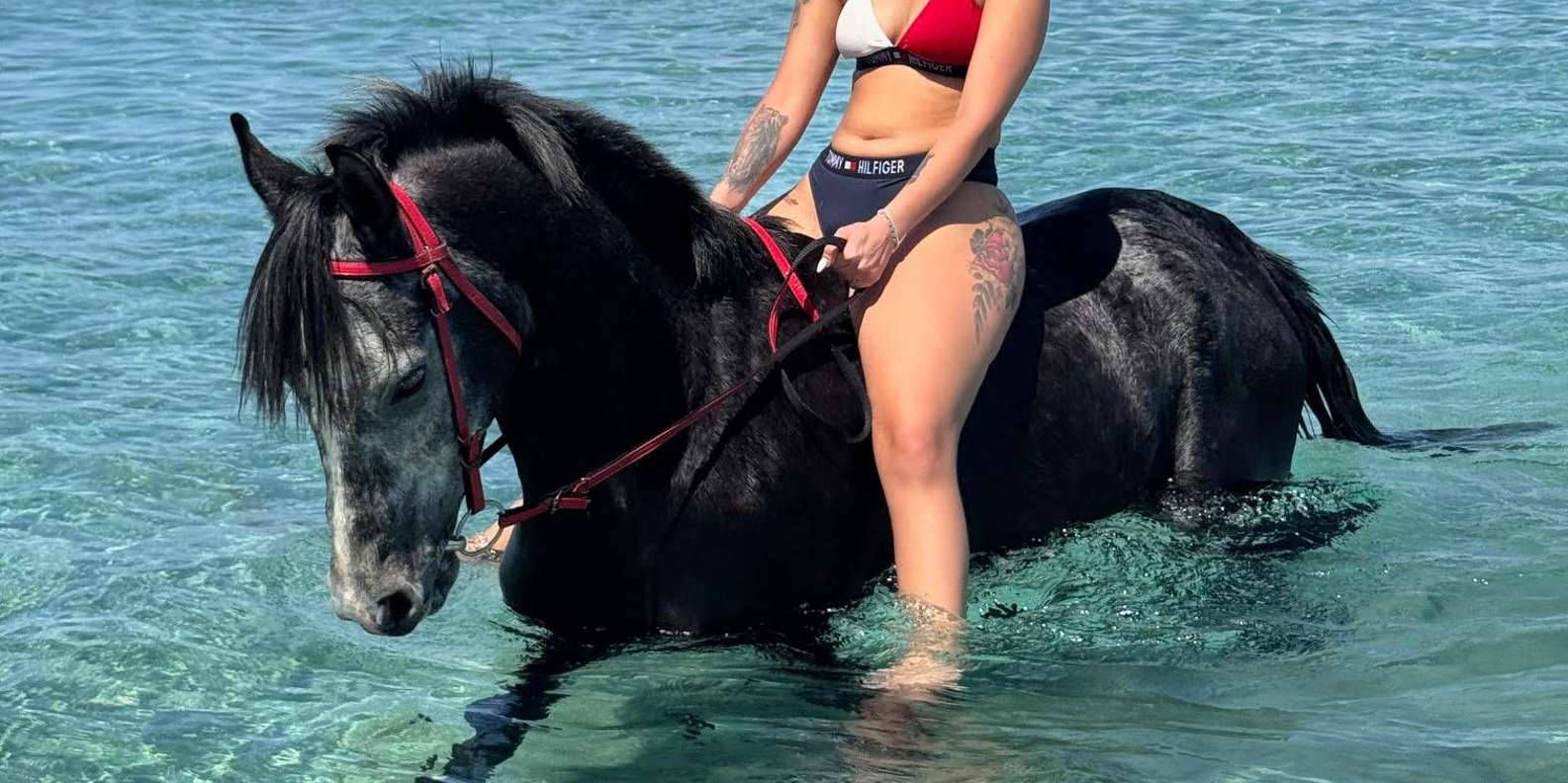 Hurghada: Desert and Beach Horse Riding Adventure