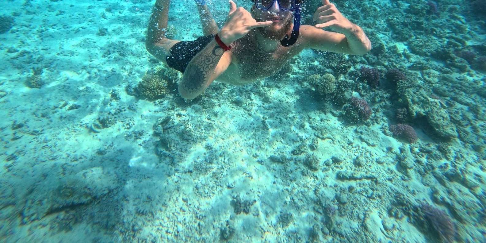 Hurghada: 4-Hour Dolphin Speedboat & Sea Scooter Snorkelling