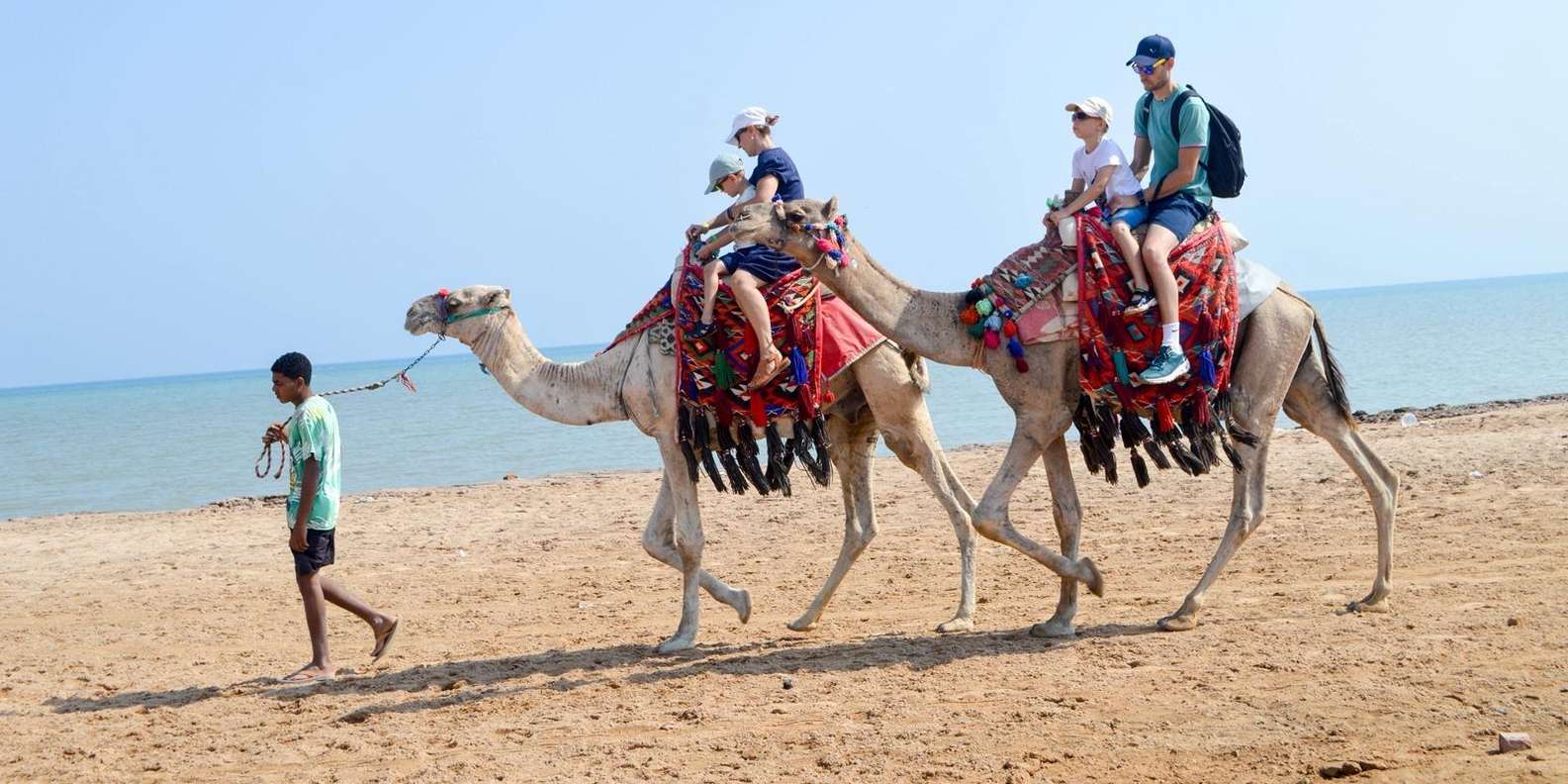 Hurghada: 1-Hour Desert & Beach Camel Ride + Transfers